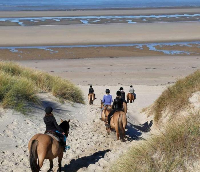 Camping La Dune Blanche Camiers Eksteriør bilde